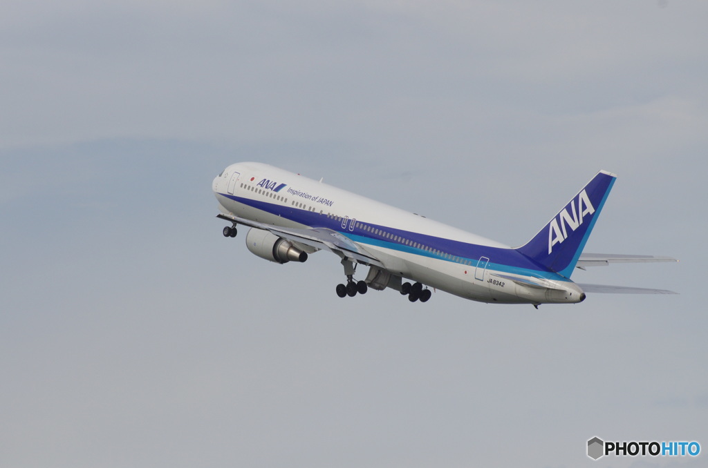 ＪＡＬ　ＪＡ8342 上昇中