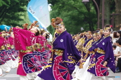 光が丘よさこい　舞華