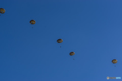 2016　入間基地航空祭　空挺部隊降下中