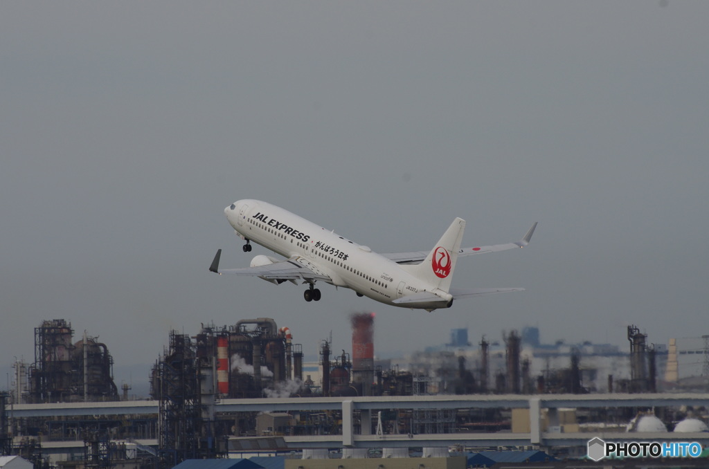 JAL JA337J がんばろう日本