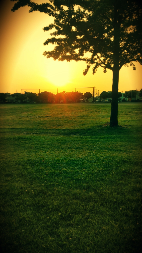 夕日♡