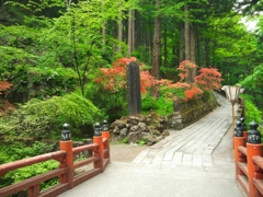榛名神社✨