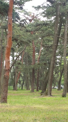 敷島公園