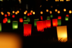 燈