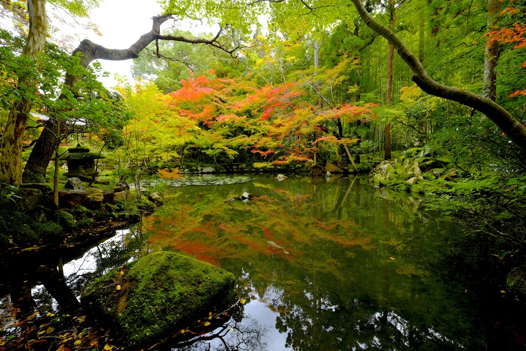 秋の京紀行〜書院南庭〜