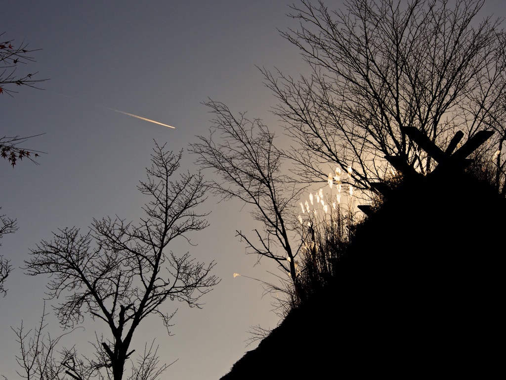 風景☆キミは空を見ているか