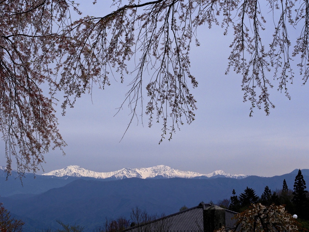 風景☆春を、じっと待ったよ。