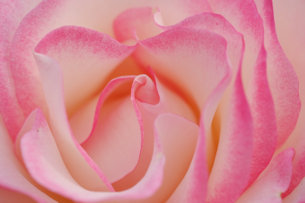softly