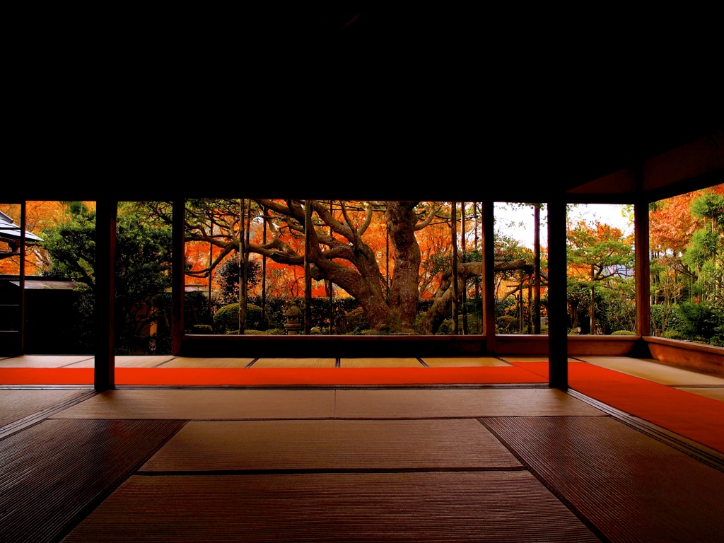 紅葉♤宝泉院