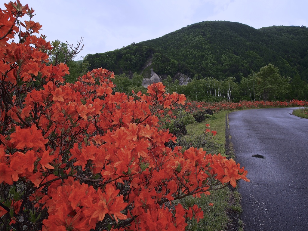 風景☆オレンジロード