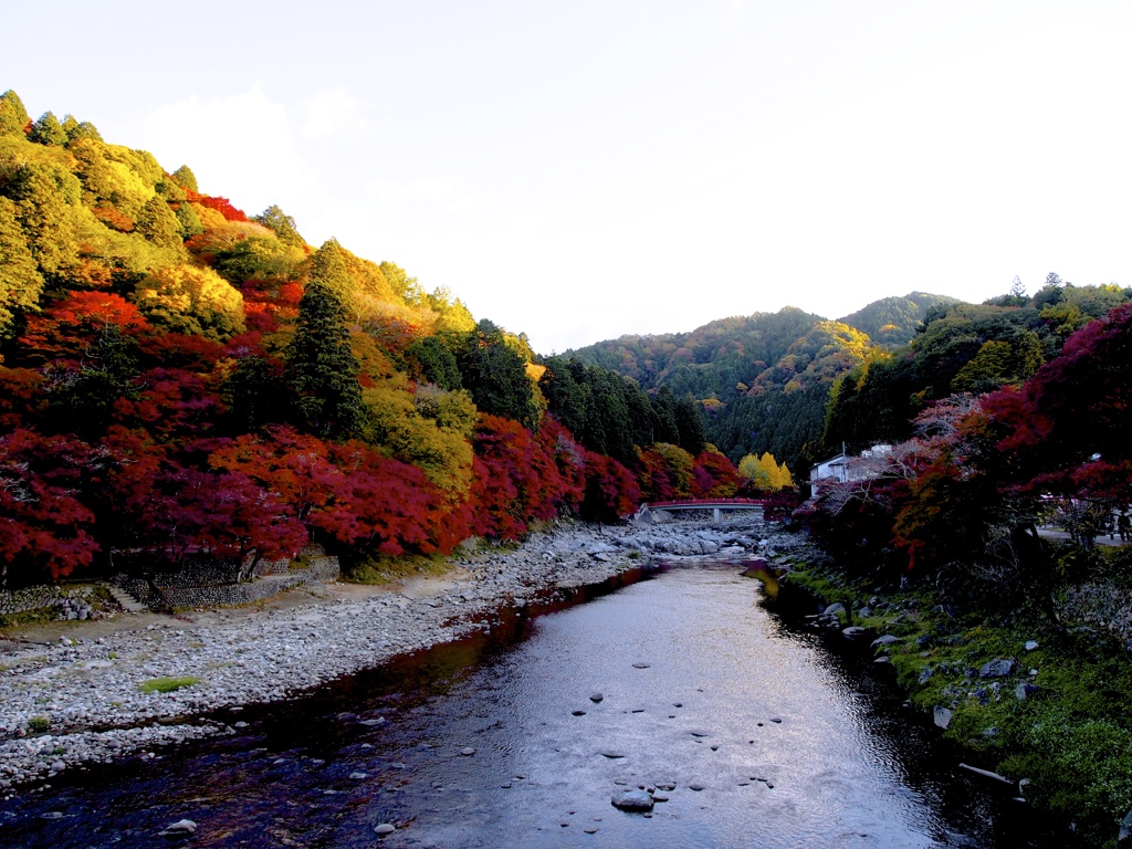 紅葉♤香嵐渓