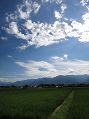 雲