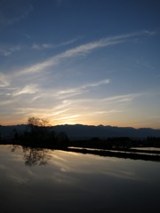 夕焼