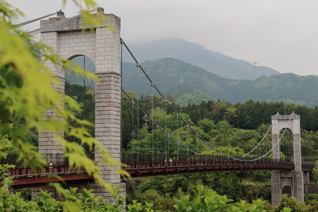 紅葉と吊り橋(県立秦野戸川公園)