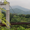 紅葉と吊り橋(県立秦野戸川公園)