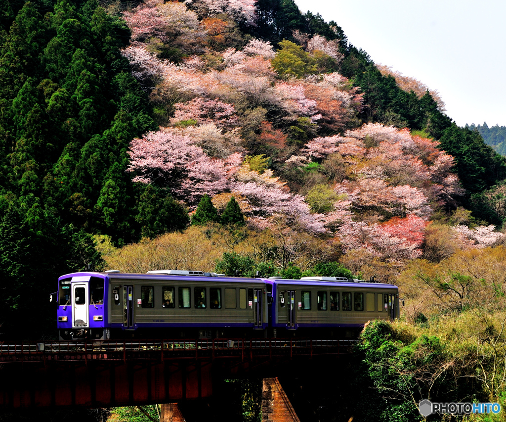 関西線