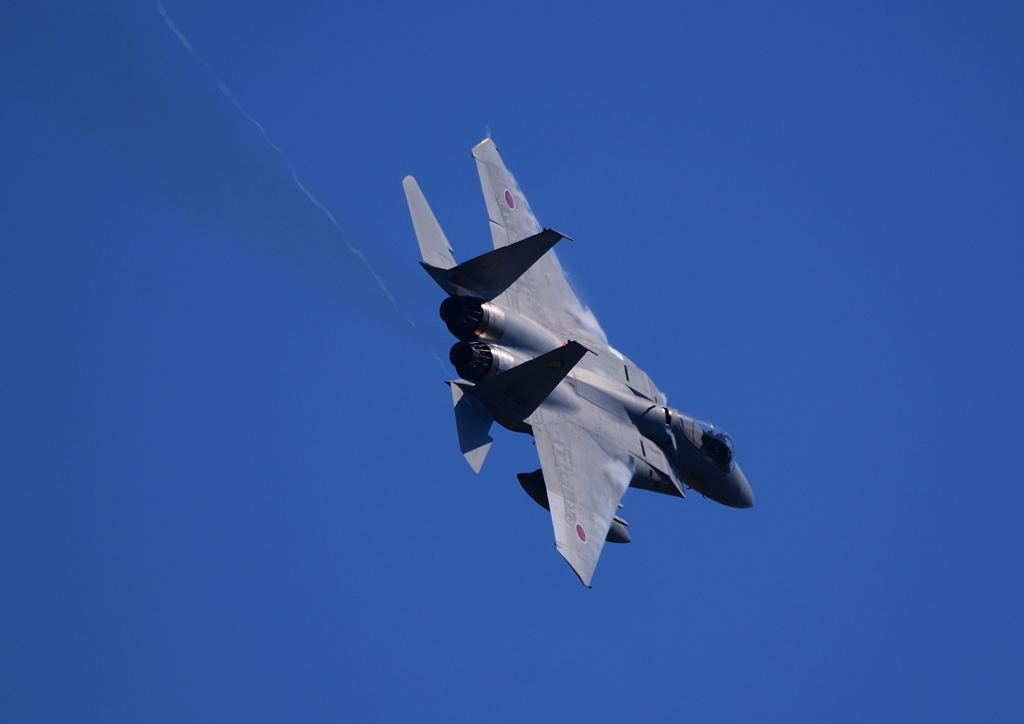 F-15J