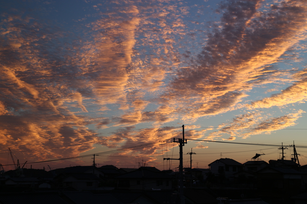 高知の夕暮れ