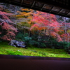 瑠璃光院5