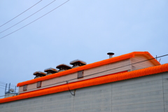 Orange Line