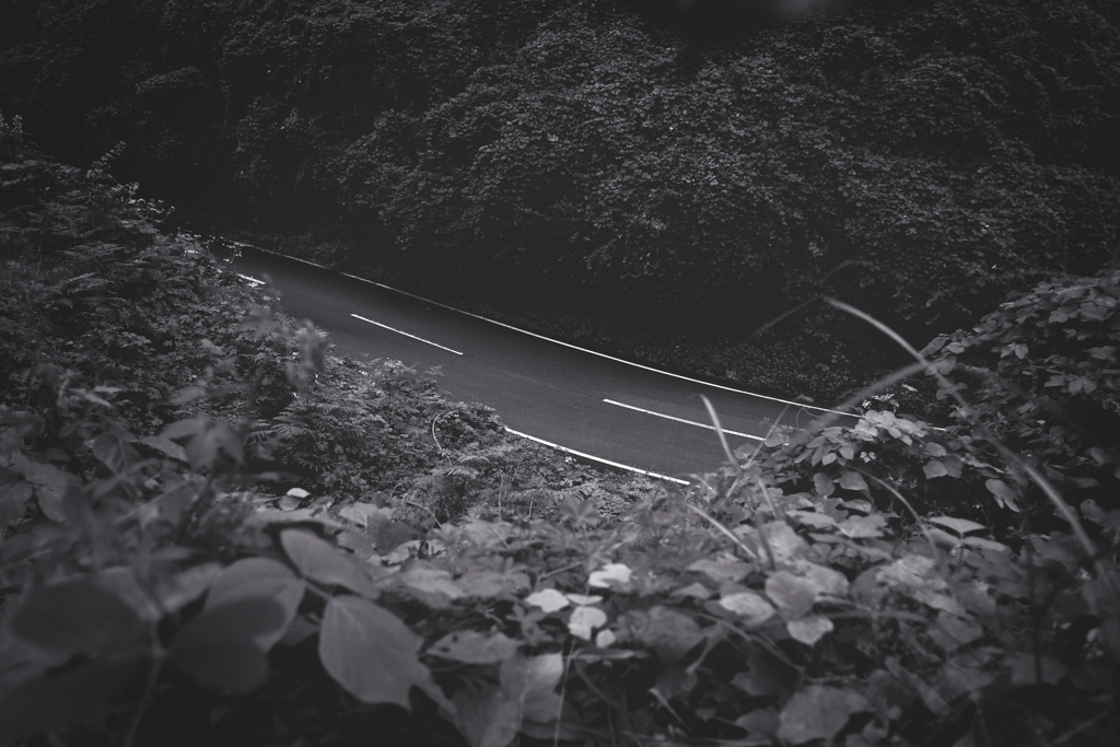 奈良の山道