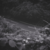 奈良の山道