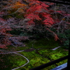 瑠璃光院4