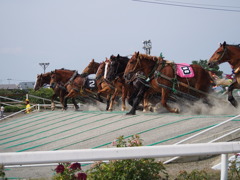 ばんえい競馬