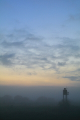 霧の渡良瀬遊水地の夜明け