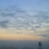 霧の渡良瀬遊水地の夜明け