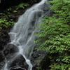 スッカン沢　素簾の滝