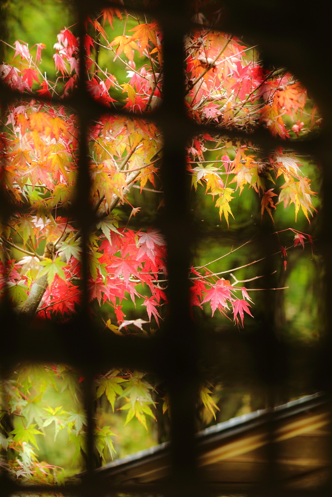 古峰神社の秋1