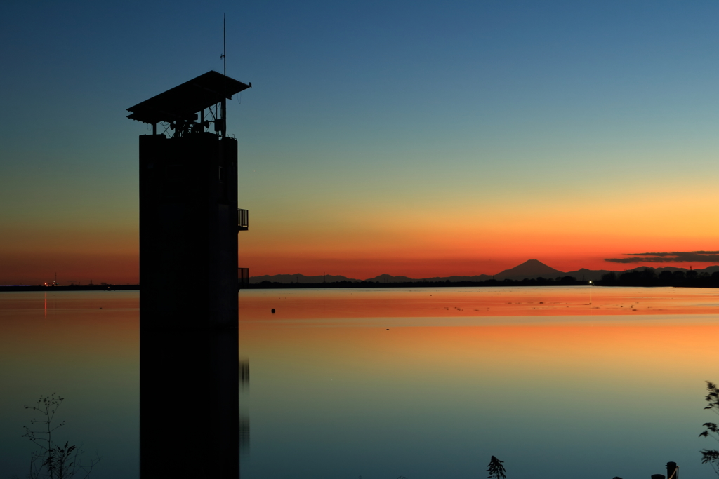 渡良瀬遊水地の夕景