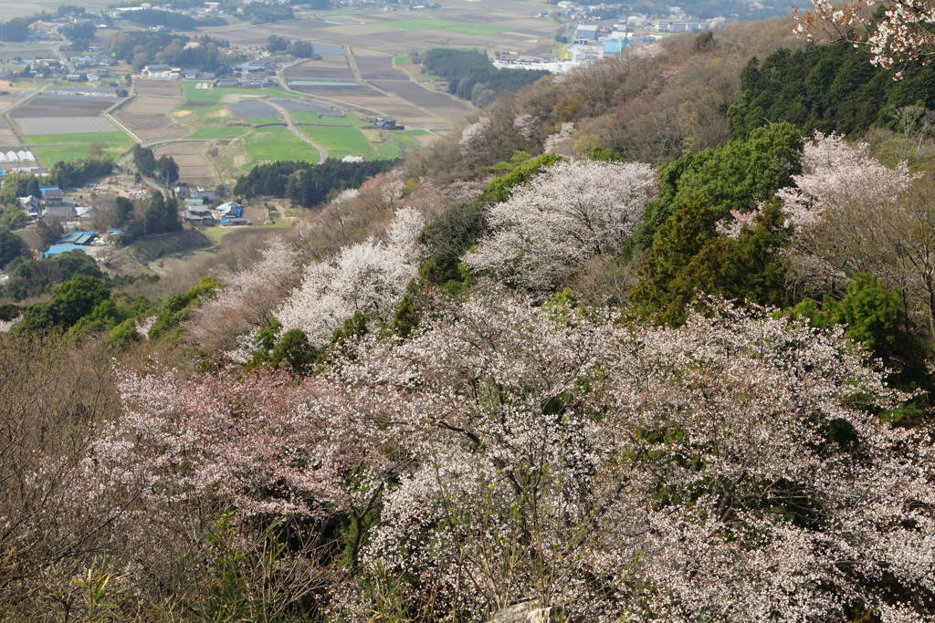 高峯からの眺め