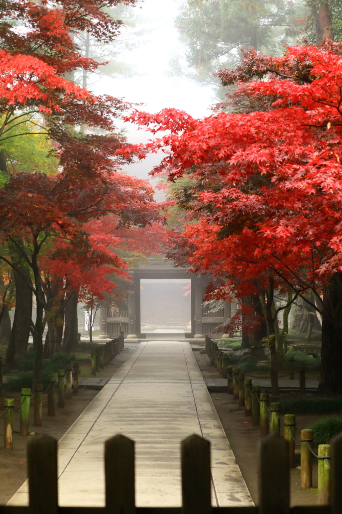 平林寺１