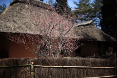 中世夢が原