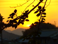夕暮れ！