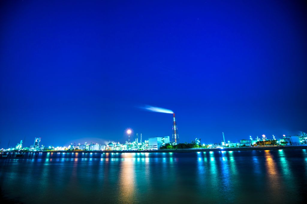 night plant