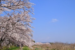 長閑な風景