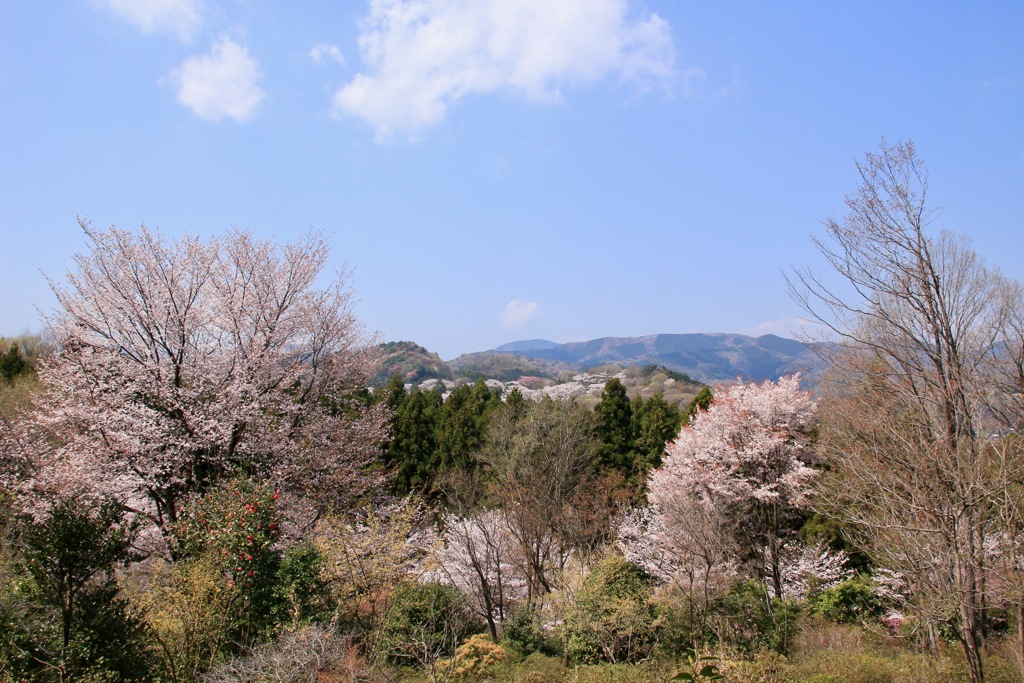 春の山