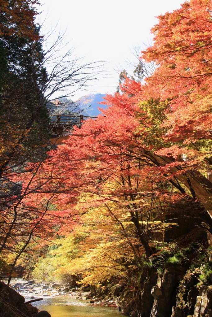 栃木県鹿沼市・大芦渓谷の秋