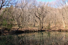 みかも山公園にて