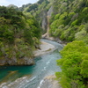 新緑につつまれて
