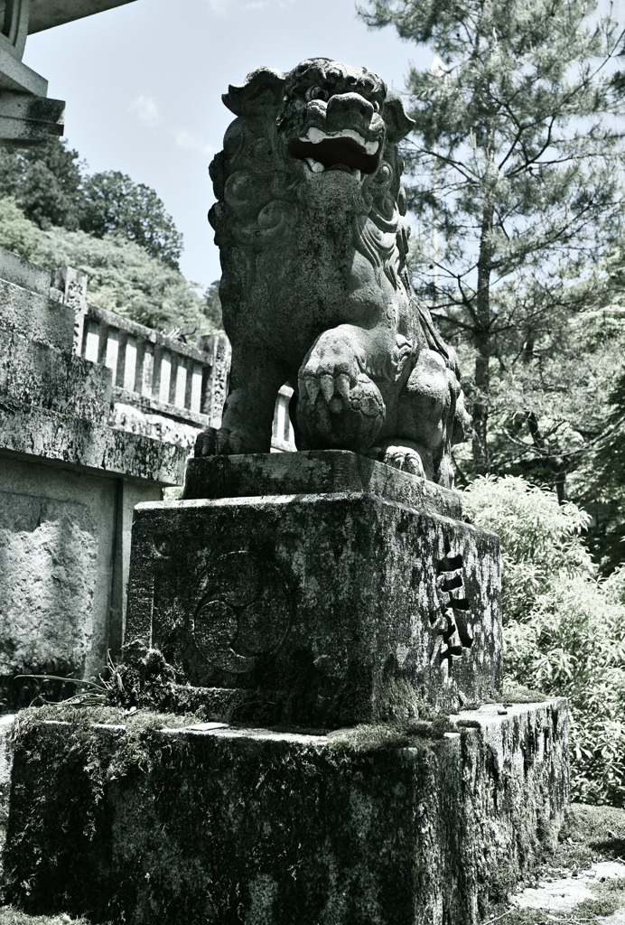 吠える獅子