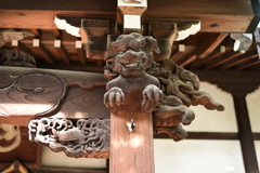 寺の狛犬