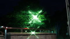 光る樹木