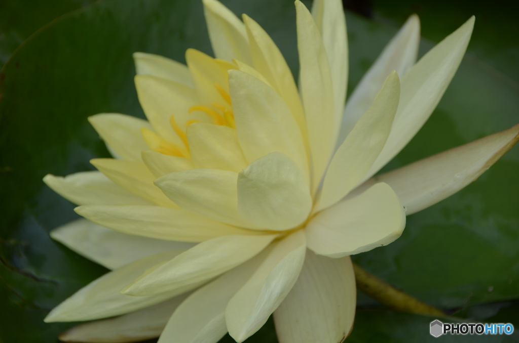 舞鶴公園25