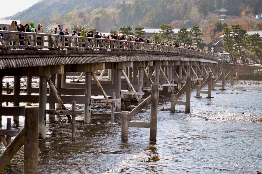 嵐山/渡月橋