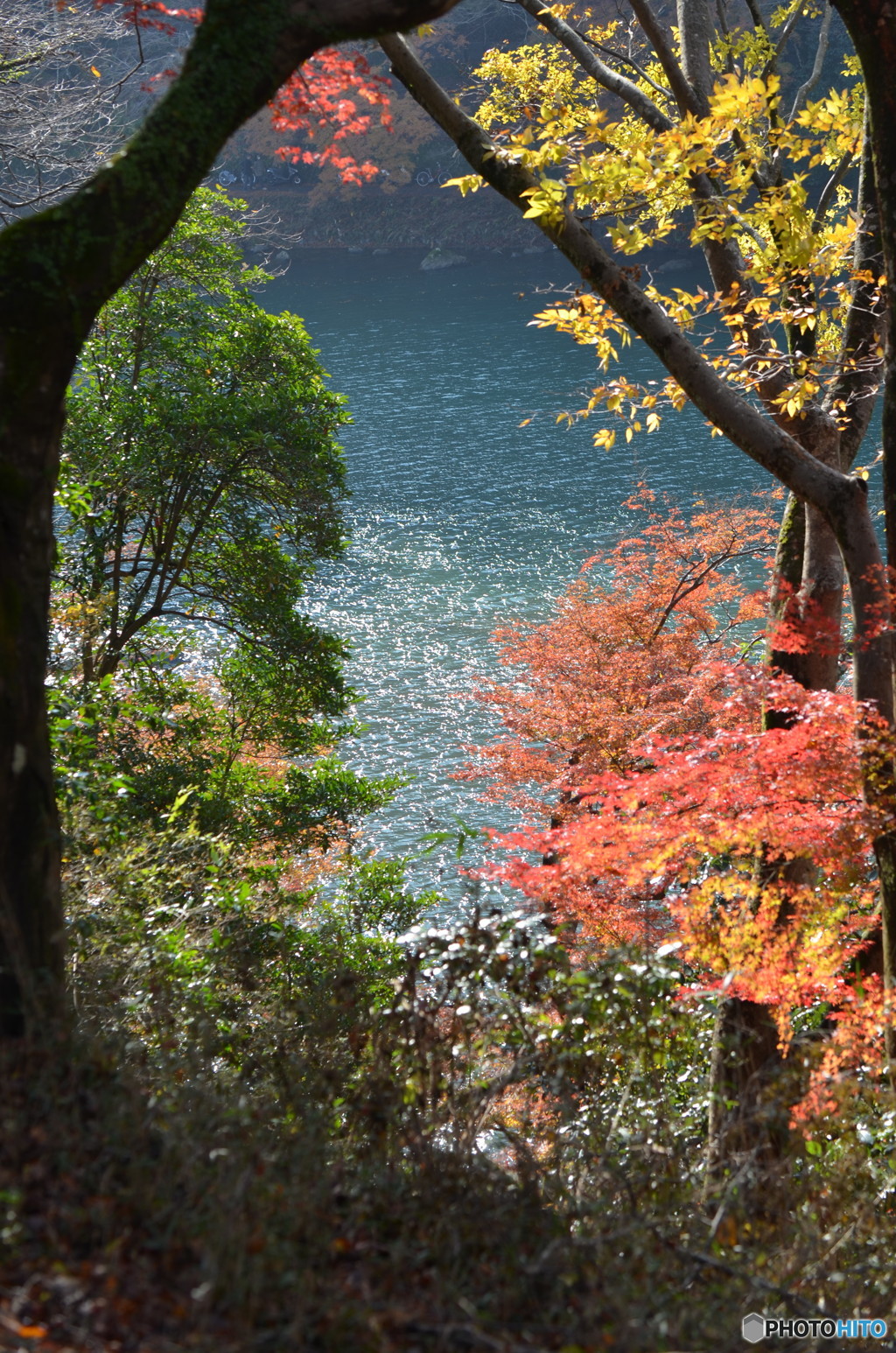 嵐山