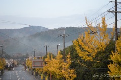 早朝の嵯峨野付近